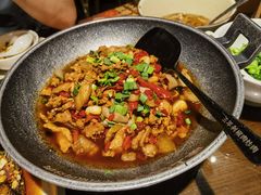 茶油老姜炒仔鸡-味上湘菜馆(岳麓山店)
