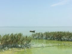 -宾湖农庄·农场特色(太湖龙之梦店)