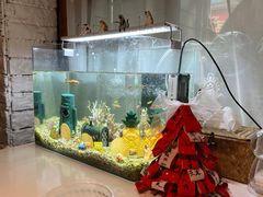 -秀儿家の小确幸融合西餐厅(万达店)