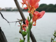 -南国桃园旅游度假区