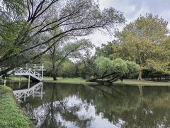 -上海共青森林公园