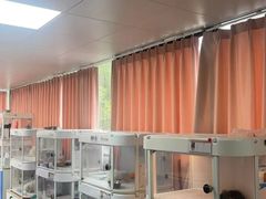 -翊宠yipet猫狗购宠庄园犬舍•猫舍