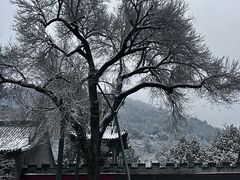 -窦大夫祠