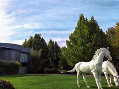 -春晖园度假酒店温泉