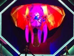 -疯克大象美式烤肉餐厅