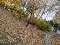 -群力丁香公园