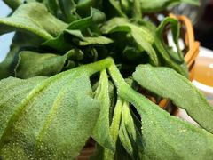 -蕃茄述·好汤自然来(江汉路店)