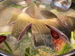 -大理老字号·舟渔的鱼野生菌海景餐厅(双廊店)