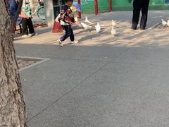 -青城公园