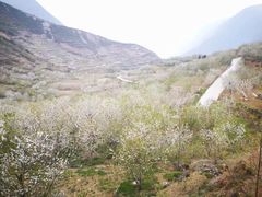 -萝卜寨羌文化生态旅游区