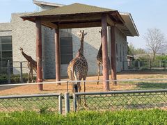 -石家庄市动物园