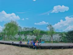 -东郊湿地公园
