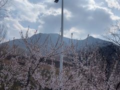 -百里山水画廊