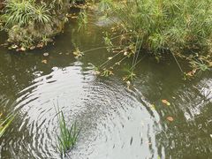 -大妙火锅·非物质文化遗产(东湖公园店)