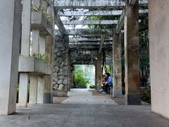 -晓港公园