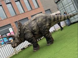 -恐龙探索乐园(磁器口店)