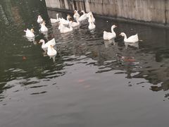 -西安汉城湖景区