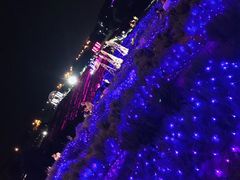 -大塘金香草谷