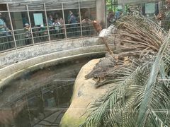 -福州动物园