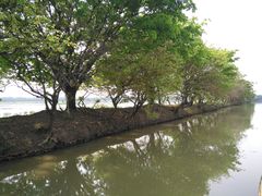 -大湾区中央湿地公园
