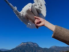 -丽江泸沽湖景区