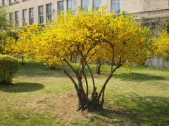 android_upload_pic-辽宁大学(崇山校区)