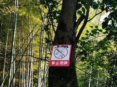 -杭州黄龙洞
