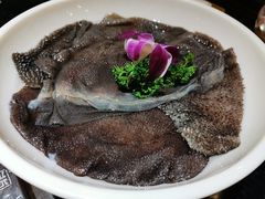 毛肚-红鼎坊·老成都火锅(新南门店)