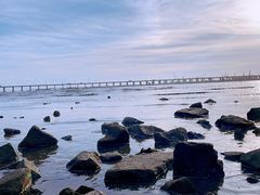 -宝安西湾红树林湿地公园