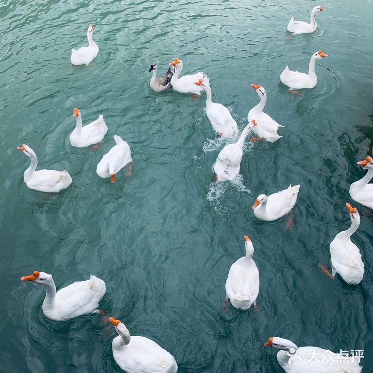 官鹅沟vs鹅嫚沟