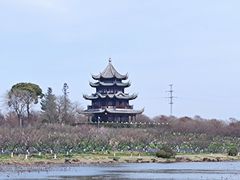 -上海海湾国家森林公园