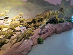 -安徽省地质博物馆