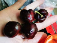 -东方鼎信农副产品交易中心