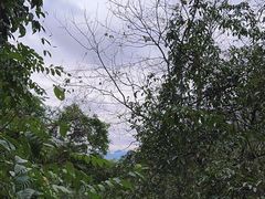 -桂林古东瀑布景区