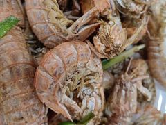 -源海渔村·现捞海鲜(大角湾店)