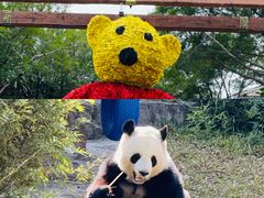 -东莞银行篮球中心