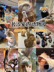 -Zoolung Zoolung动物主题公园(海信广场店)