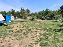 -爪吧宠物乐园 (温榆河示范区店)