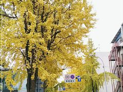 -奎星楼街