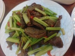-北苑汤泉