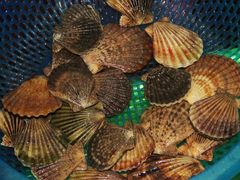 -幸福姐海鲜大排档