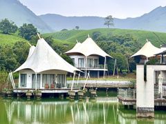 -帐篷客·溪龙茶谷度假酒店