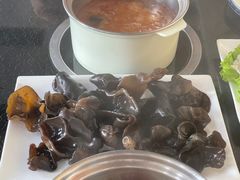-蒙星月涮肚火锅城(宏运家园店)