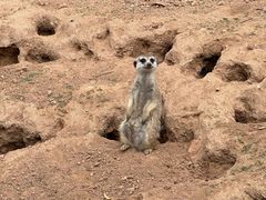 -秦皇岛野生动物园