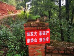 -长虫山生态公园风景林