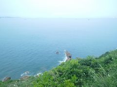 -杨梅坑