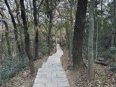 -九曜山