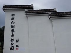 -四明山国家森林公园