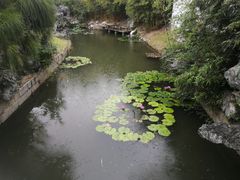 -厦门园林博览苑