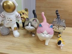 -猫十亿·布偶金渐层·曼基康矮脚猫舍(青年路店)
